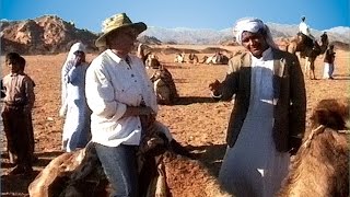 Sinai  Auf den Spuren des Alten Testaments  Mosesberg [upl. by Enneirda570]