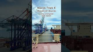 Maersk Triple E vessel  Containership  Cargo seafarer [upl. by Weig529]