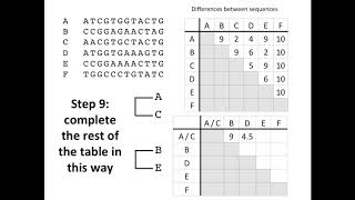 Creating a Phylogenetic Tree [upl. by Anilad]