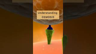 Osmosis  Osmotic Pressure osmosis osmoticpressure biology chemistry differencebetween [upl. by Reginald]