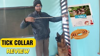 Ticks collar review  Best solution for Ticks and fleece for your petdog  kiltix collar dogcare [upl. by Ellecram]