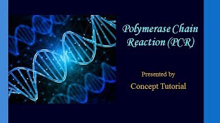 Polymerase Chain Reaction PCR  Biotechnology Principles amp Processes Part 7  Biology Class 12 [upl. by Charissa]