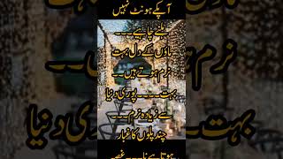 Writer umme Hania  Rah e haq quotes arabic islamicshorts islamic maa ytshorts viralnovel [upl. by Ellesirg]