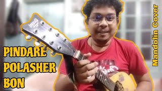 PINDARE POLASHER BON  Mandolin Cover  Mandolin Bijay [upl. by Chelton100]