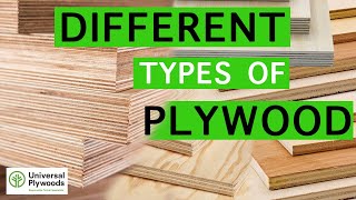 What are the 3 Different Types of Plywood you Can Buy at Universal Ply Durban South Africa [upl. by Animaj255]