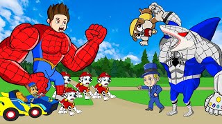 Paw Patrol Dino Rescue Pups save Rubble from Mayor Humdinger  Paw Patrol Cartoon Movie [upl. by Dorkas122]