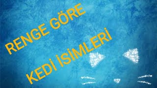 RENGİNE GÖRE KEDİ İSİMLERİ EN GÜZEL KEDİ İSİMLERİ [upl. by Brodench994]