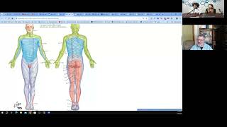 What is Radiculopathy  Essence of Medicine [upl. by Cirdla]