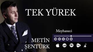 Metin Şentürk  Meyhaneci Official Audio [upl. by Nonnahsed649]