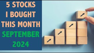 5 Stocks Ive Been Buying  September 2024 [upl. by Willock]