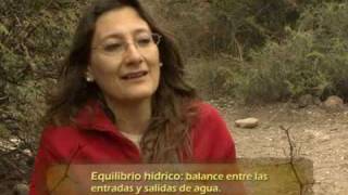 Ecologia y ambiente de la ciudad de Mendoza [upl. by Carman]