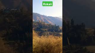 🥀Beautiful Rokali❤ ll 🏞mountainsloveviewtravelnatureviralvideoshorts [upl. by Aillicsirp128]