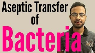 Aseptic Technique  Aseptic transfer Bacteria  serial dillution with aseptic technique [upl. by Greyso]