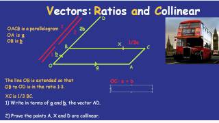 Vectors Ratios and Collinear [upl. by Essirehc]