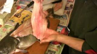 How to Fillet a Catfish  Easy and Simple Catfish Filleting [upl. by Anceline779]