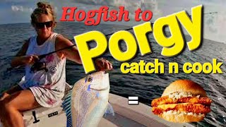 Hogfish to Porgy [upl. by Sanders777]