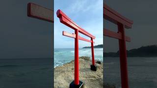 美しい海の鳥居 海の鳥居 ⛩️ 白浜神社 伊古奈比咩命神社 short [upl. by Denis]