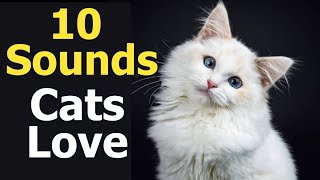 10 Sounds Cats Love To Hear The Most [upl. by Ines]