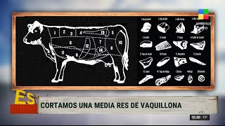 ¡Masterclass de cortes de carne para cuando vayas a la carnicería 🐄 [upl. by Ailegna]