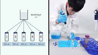 How to Set up HPLC Calibration Method  Internal Standard Calibration with Shimadzu LabSolutions [upl. by Koppel]