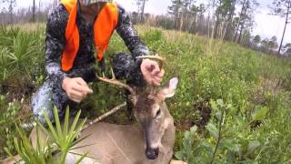 GREEN SWAMP WMA MONSTER BUCK [upl. by Sydelle517]