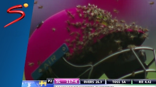 South Africa vs Sri Lanka  Bees Swarm Cricket Field During Pink ODI  SuperSport [upl. by Smitt482]