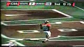 2008 Alabama Crimson Tide Football ADay Game [upl. by Nahshon]