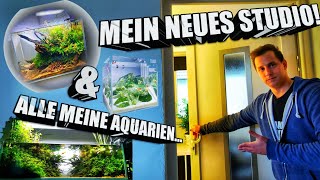 Ich zeige euch mein neues Aquascaping Studio amp alle meine Aquarien [upl. by Chari]