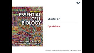 Cytoskeleton Part I [upl. by Nalo]