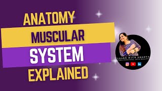 MUSCULAR SYSTEMANATOMYPHYSIOLOGYMEDICALCODINGLEARNWITHDHANYA [upl. by Yrrem151]