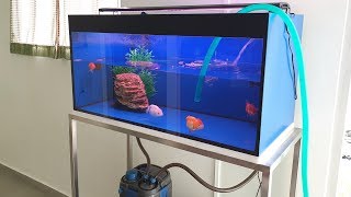 LIOW VIDEO Cleaning my goldfish tank and filters 清洗金鱼缸和过滤器 [upl. by Suki]