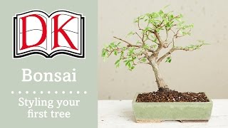 Bonsai Styling Your First Bonsai Tree [upl. by Malinin]