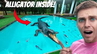 We Caught The Deadly Alligator At Carter Sharers House [upl. by Evad521]