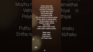 Neeye neeye song lyrics [upl. by Elfstan]