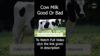 Cow Milk Good Or Bad health mmashealth milk cowmilk [upl. by Ingar]