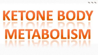 ketone bodies metabolism  ketogenesis  ketolysis  ketosis [upl. by Leerzej]