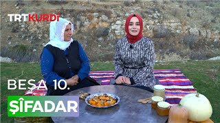 Şîfadar  Beşa 10 [upl. by Pizor394]