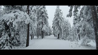 Sono stato nella Lapponia Finlandese a Rovaniemi da Babbo Natale [upl. by Swayder]