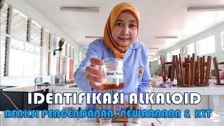 IDENTIFIKASI ALKALOID [upl. by Ecilayram]