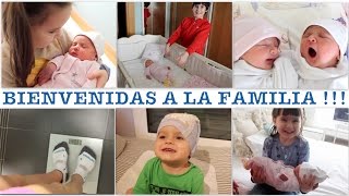 VLOG DIARIO  Los hermanos conocen a las mellizas primer día en casa [upl. by Mcmahon]