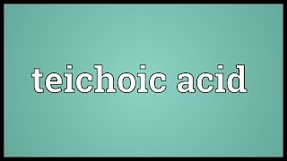 Teichoic acid Meaning [upl. by Sirac]