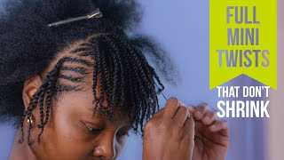 Mini twists with a twist Achieve fullerlooking mini twists Mini twists on short natural hair [upl. by Libyc]