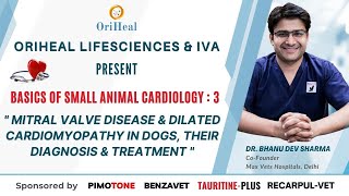 Mitral Valve Disease amp Dilated Cardiomyopathy in Dogs Their Diagnosis amp Treatment [upl. by Pontus]