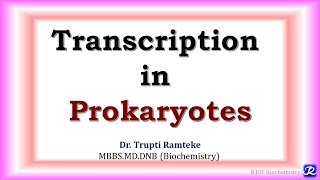 7 Transcription in Prokaryotes  Molecular Biology  Biochemistry  NJOY Biochemistry [upl. by Rich]