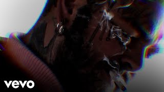 Post Malone  Lemon Tree Official Lyric Video [upl. by Quiteria]