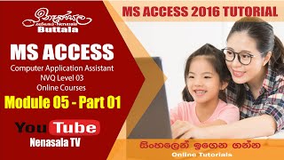 MS Access මුල සිට සරලව ඉගෙන ගන්න CAA NVQ Level 03  MS ACCESS 2019 [upl. by Harret214]