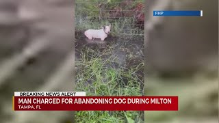 Man charged for abandoning dog during Milton [upl. by Sherburn]