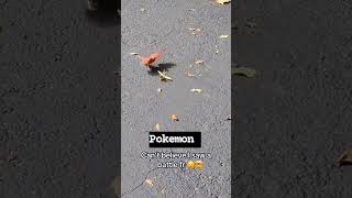 Pidgeot vs Scyther IRL 🤣🤣 pokemon pokemontcg [upl. by Aihsein282]