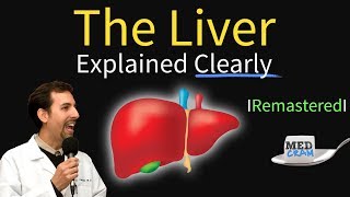 Liver Explained Function Pathology Diseases amp Cirrhosis [upl. by Lemej174]