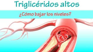 Como Bajar Los Trigliceridos de un día para Otro ✦ Alimentos Que Disminuyen Los Trigliceridos [upl. by Theobald772]